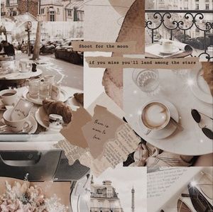 Meet your Posher, Cheyenne